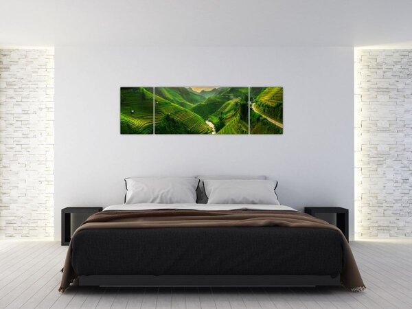 Obraz - Rýžové terasy Mu Cang Chai (170x50 cm)