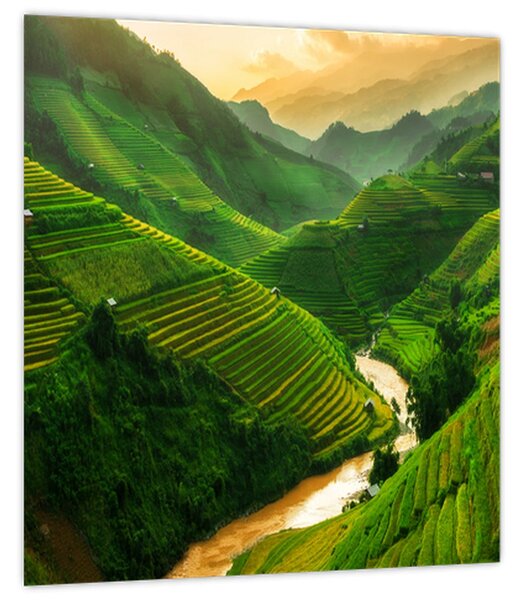 Obraz - Rýžové terasy Mu Cang Chai (30x30 cm)