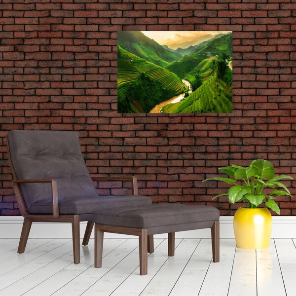 Obraz - Rýžové terasy Mu Cang Chai (70x50 cm)