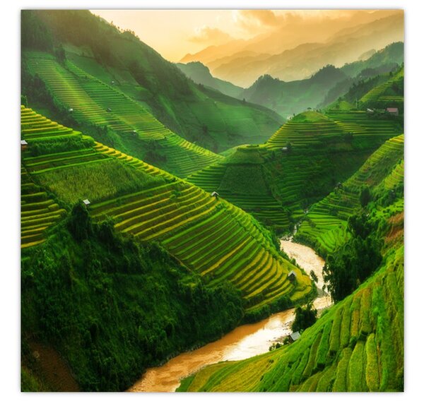 Obraz - Rýžové terasy Mu Cang Chai (30x30 cm)