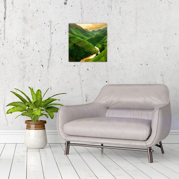 Obraz - Rýžové terasy Mu Cang Chai (30x30 cm)