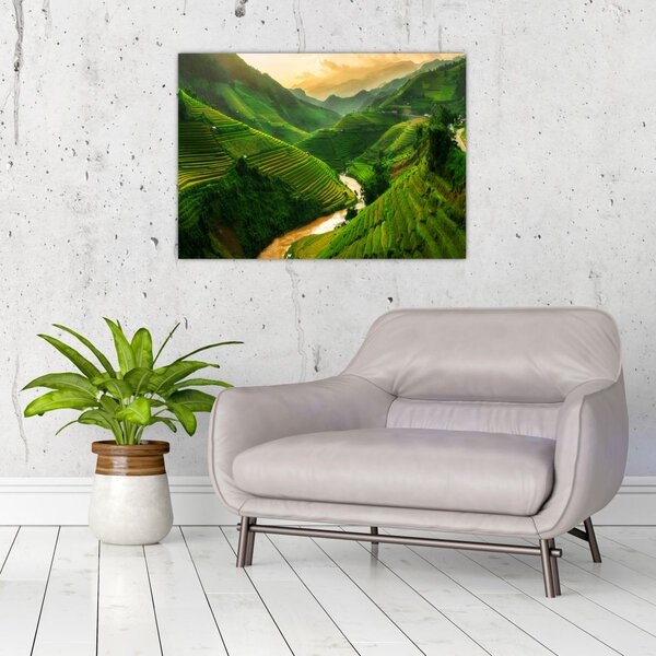 Obraz - Rýžové terasy Mu Cang Chai (70x50 cm)