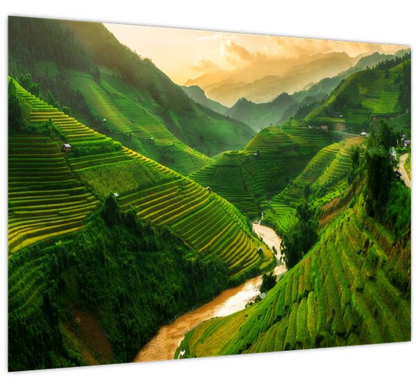 Obraz - Rýžové terasy Mu Cang Chai (70x50 cm)