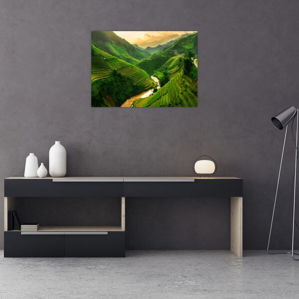 Obraz - Rýžové terasy Mu Cang Chai (70x50 cm)