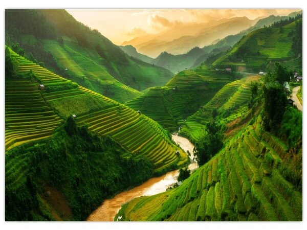 Obraz - Rýžové terasy Mu Cang Chai (70x50 cm)