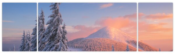 Obraz - Zimní krajina (170x50 cm)