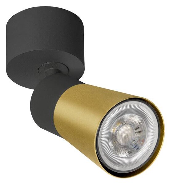 SLV 1008289 Puri 2.0 Cone, černozlaté nástěnné/stropní svítidlo 1xGU10 s kulatou základnou, výška 14,8cm