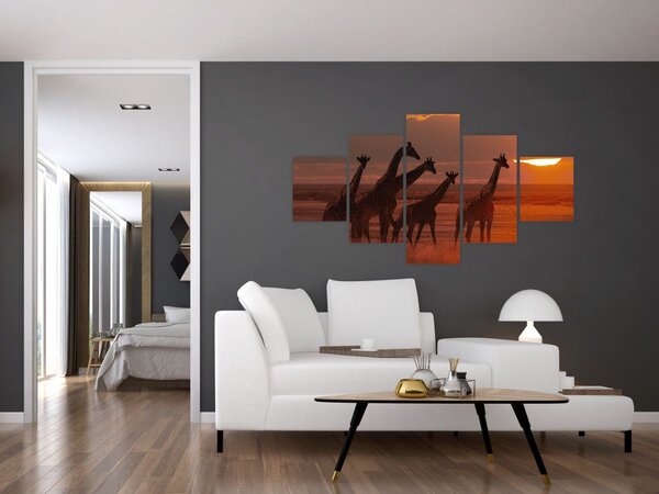 Obraz - Žirafy v africké savaně (125x70 cm)