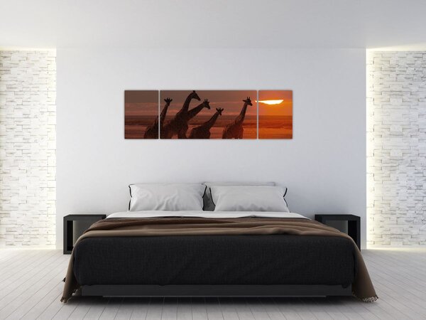 Obraz - Žirafy v africké savaně (170x50 cm)