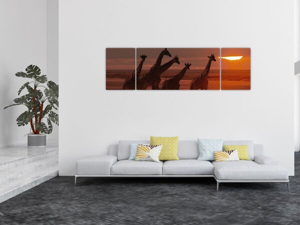 Obraz - Žirafy v africké savaně (170x50 cm)