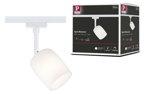Paulmann 94881 Blossom, spot pro Urail system, 1xG9 max. 10W, signální bílá/satinované sklo