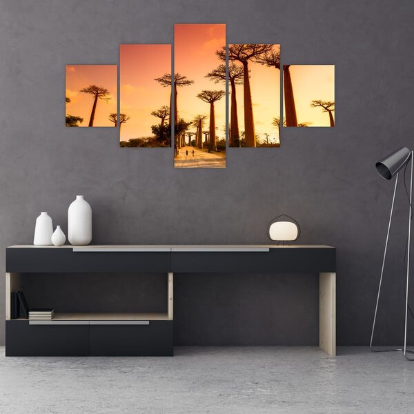 Obraz - Západ slunce v uličce Baobab (125x70 cm)