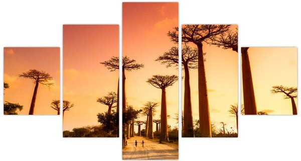 Obraz - Západ slunce v uličce Baobab (125x70 cm)