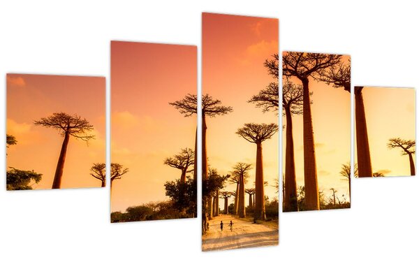 Obraz - Západ slunce v uličce Baobab (125x70 cm)