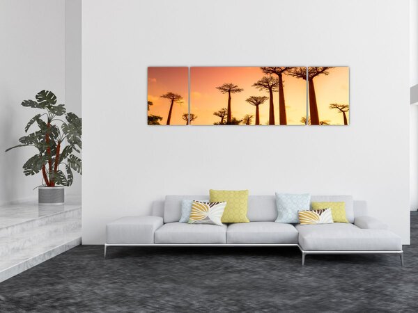 Obraz - Západ slunce v uličce Baobab (170x50 cm)