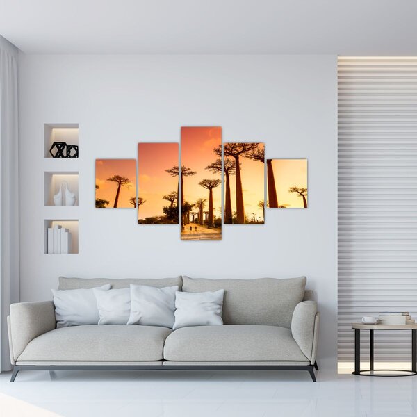 Obraz - Západ slunce v uličce Baobab (125x70 cm)