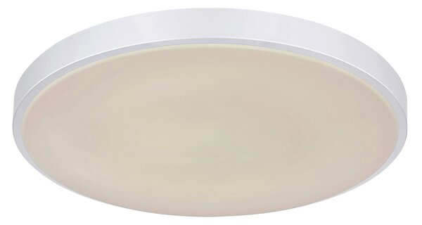 STROPNÍ LED SVÍTIDLO, 41/41/6 cm Globo - Online Only svítidla, Online Only