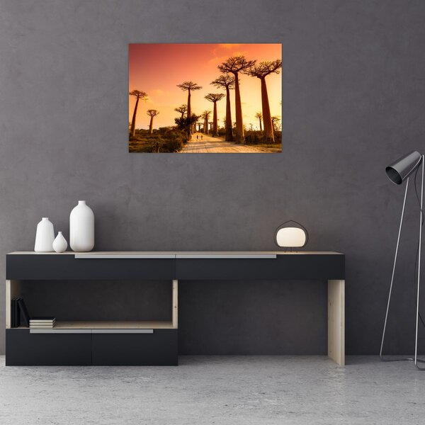 Obraz - Západ slunce v uličce Baobab (70x50 cm)