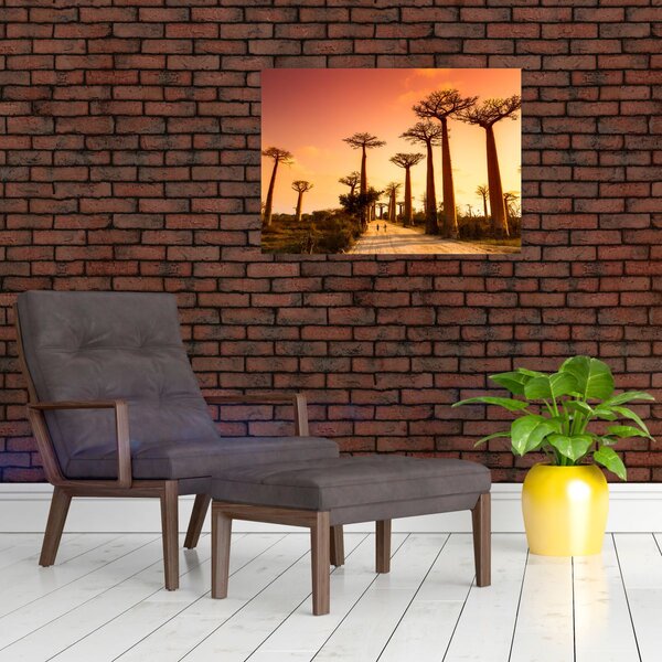 Obraz - Západ slunce v uličce Baobab (70x50 cm)