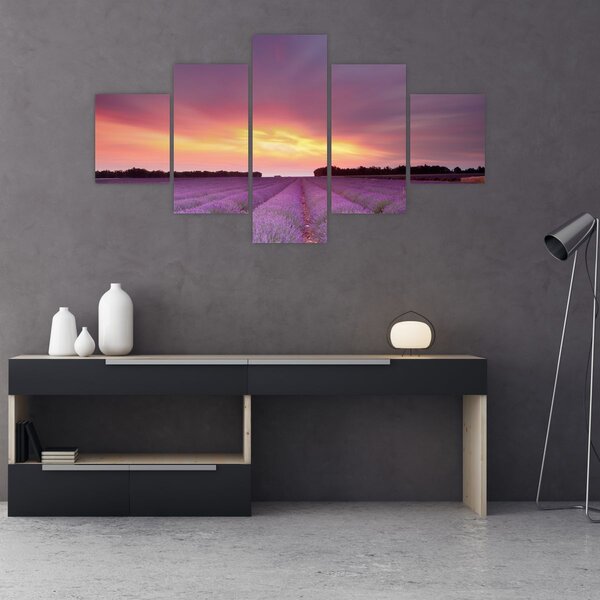 Obraz - Levandulové pole (125x70 cm)