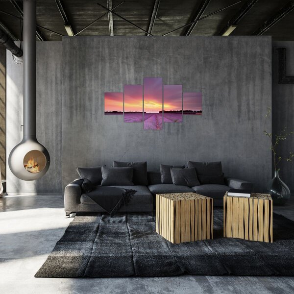 Obraz - Levandulové pole (125x70 cm)