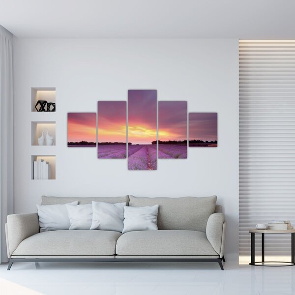 Obraz - Levandulové pole (125x70 cm)