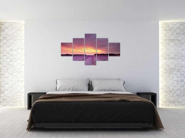 Obraz - Levandulové pole (125x70 cm)