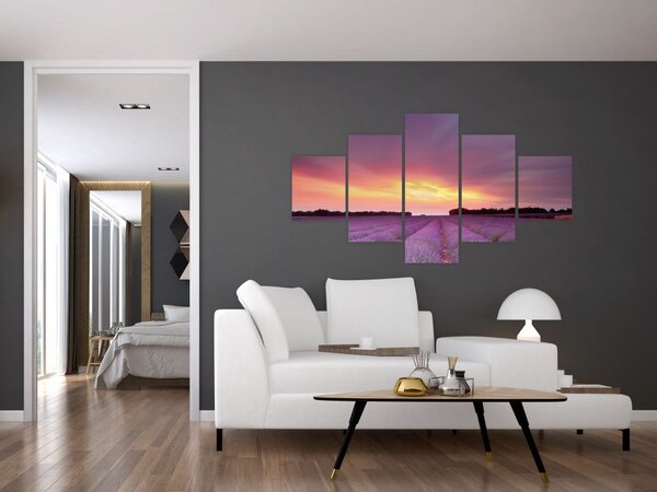 Obraz - Levandulové pole (125x70 cm)