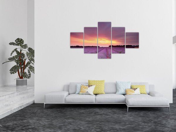 Obraz - Levandulové pole (125x70 cm)