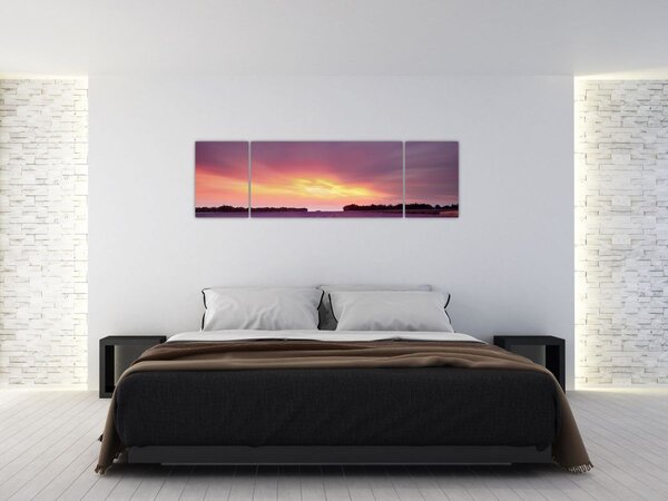 Obraz - Levandulové pole (170x50 cm)