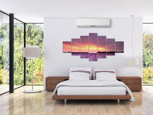 Obraz - Levandulové pole (210x100 cm)
