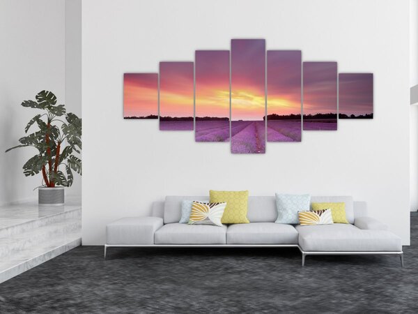 Obraz - Levandulové pole (210x100 cm)