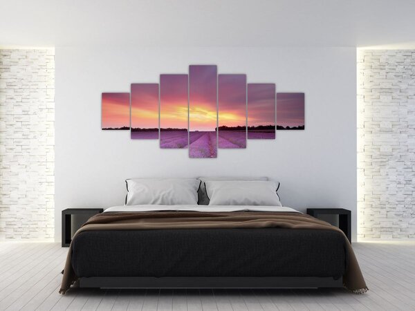 Obraz - Levandulové pole (210x100 cm)