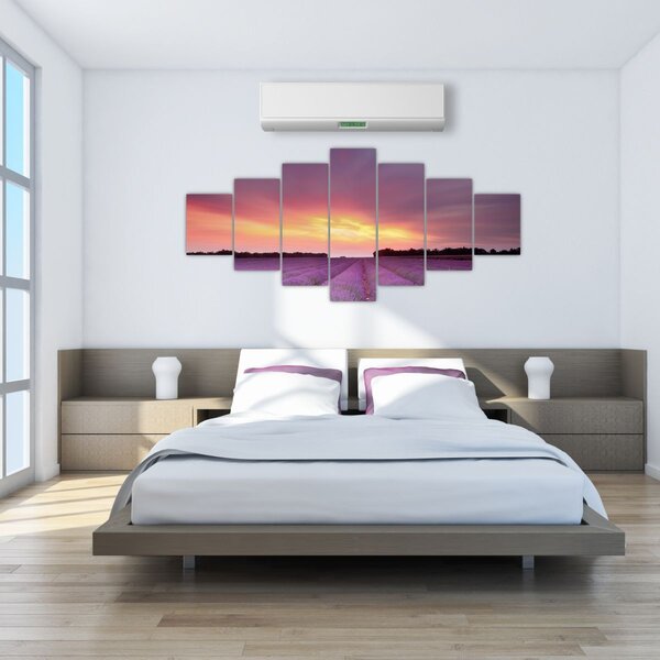 Obraz - Levandulové pole (210x100 cm)