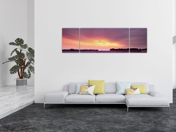 Obraz - Levandulové pole (170x50 cm)