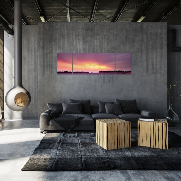 Obraz - Levandulové pole (170x50 cm)