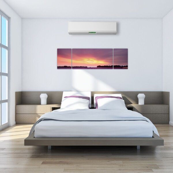 Obraz - Levandulové pole (170x50 cm)