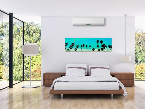 Obraz - Kalifornie (170x50 cm)