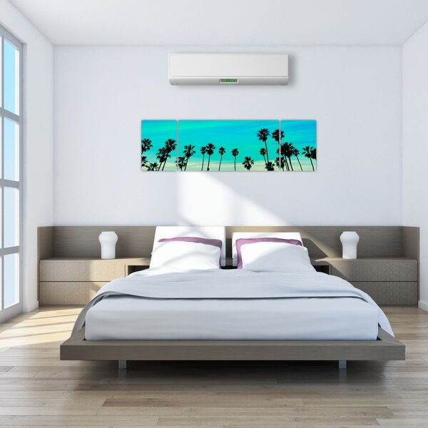 Obraz - Kalifornie (170x50 cm)