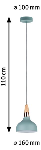 Paulmann 79652 Juna, zelené závěsné svítidlo z kovu, mědi a dřeva, 1xE14, Ø16cm