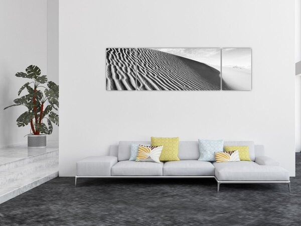 Obraz - Písečná duna (170x50 cm)
