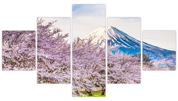 Obraz - Japonsko na jaře (125x70 cm)