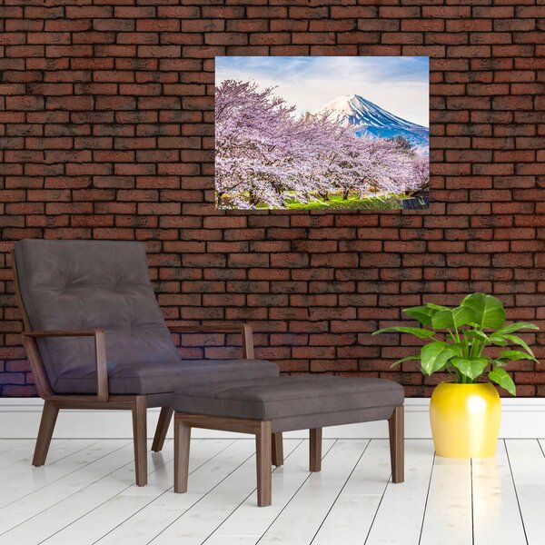 Obraz - Japonsko na jaře (70x50 cm)