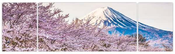Obraz - Japonsko na jaře (170x50 cm)