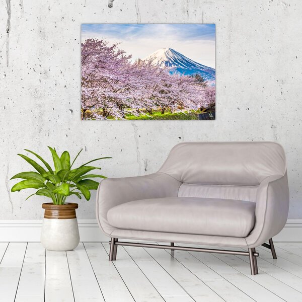 Obraz - Japonsko na jaře (70x50 cm)