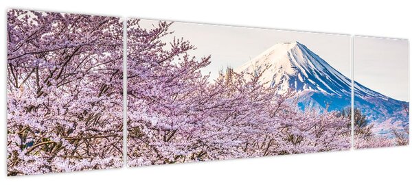Obraz - Japonsko na jaře (170x50 cm)