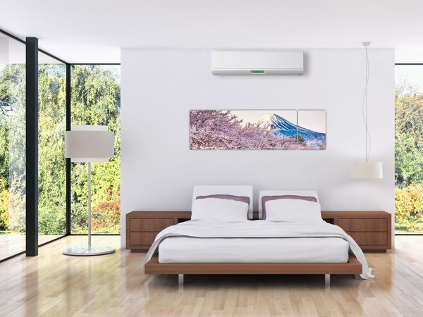 Obraz - Japonsko na jaře (170x50 cm)