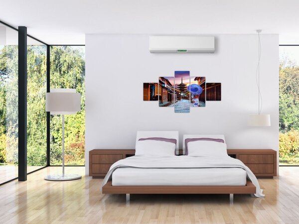 Obraz - Asijská žena (125x70 cm)