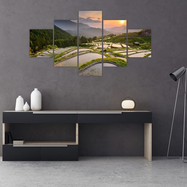 Obraz - Rýžové terasy (125x70 cm)