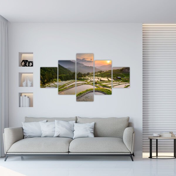 Obraz - Rýžové terasy (125x70 cm)